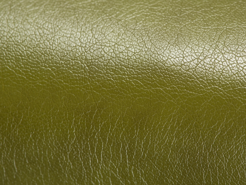bio leather